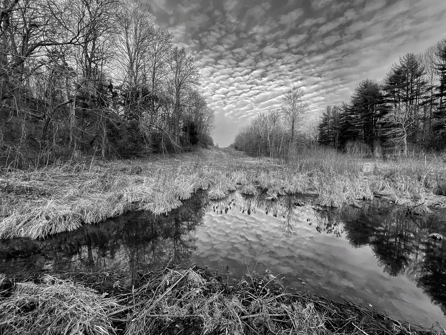 1st PrizeOpen Mono In Class 2 By Teresa Hughes For Looked At Clouds From Both Sides Now NOV-2023.jpg